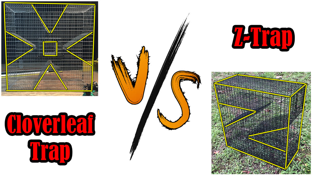 Perch Trap - Pinfish Trap Battle - Cloverleaf Vs Z-Trap! – Reel
