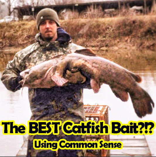 Best Bait For Catfish – Using Common Sense in 2024!