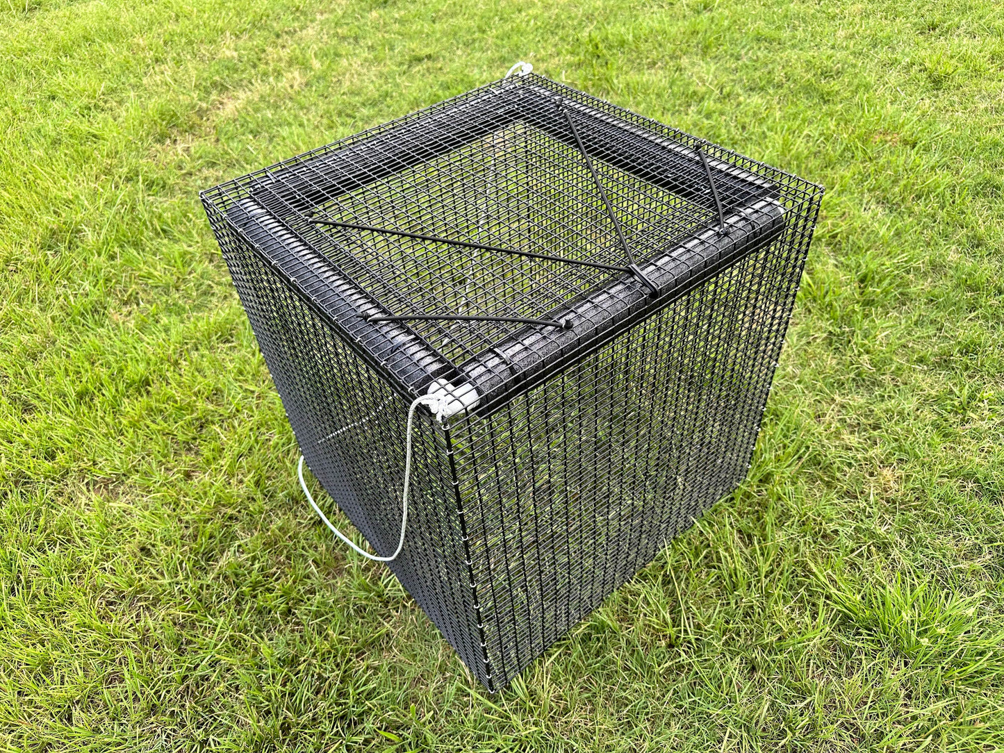 Live Fish Basket - Fish Cage - Fish Holding Pen (2x2x2 ft cube)