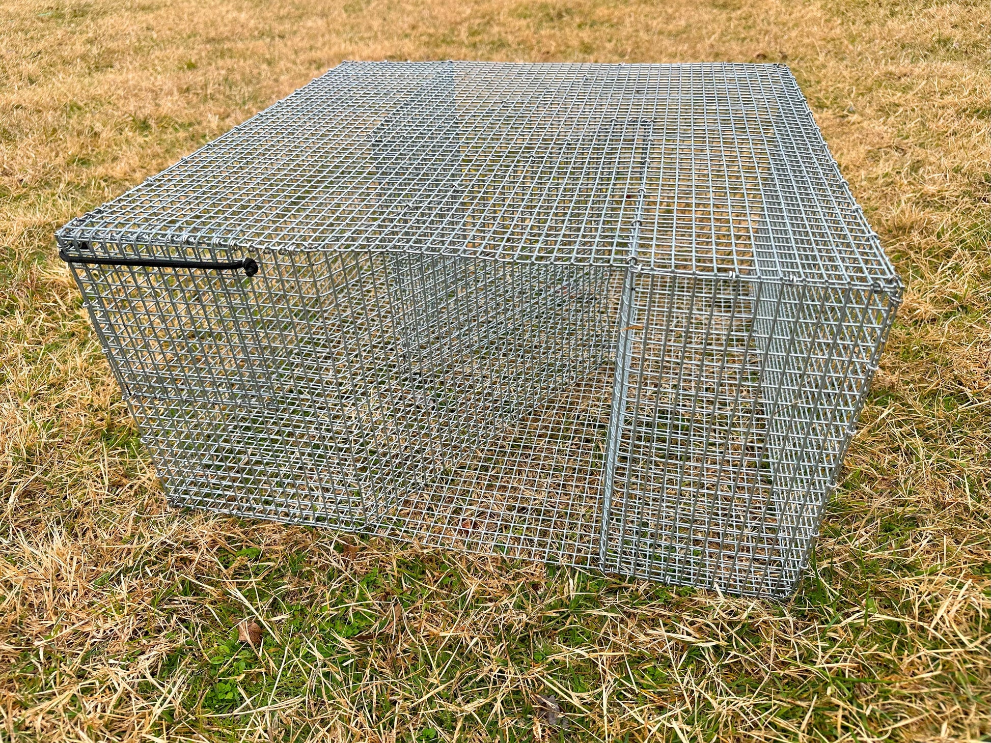 Z-Bait Fish Trap - PREMIUM QUAILITY (Pinfish Trap, Perch Trap, Bream Trap) - Reel Texas Outdoors