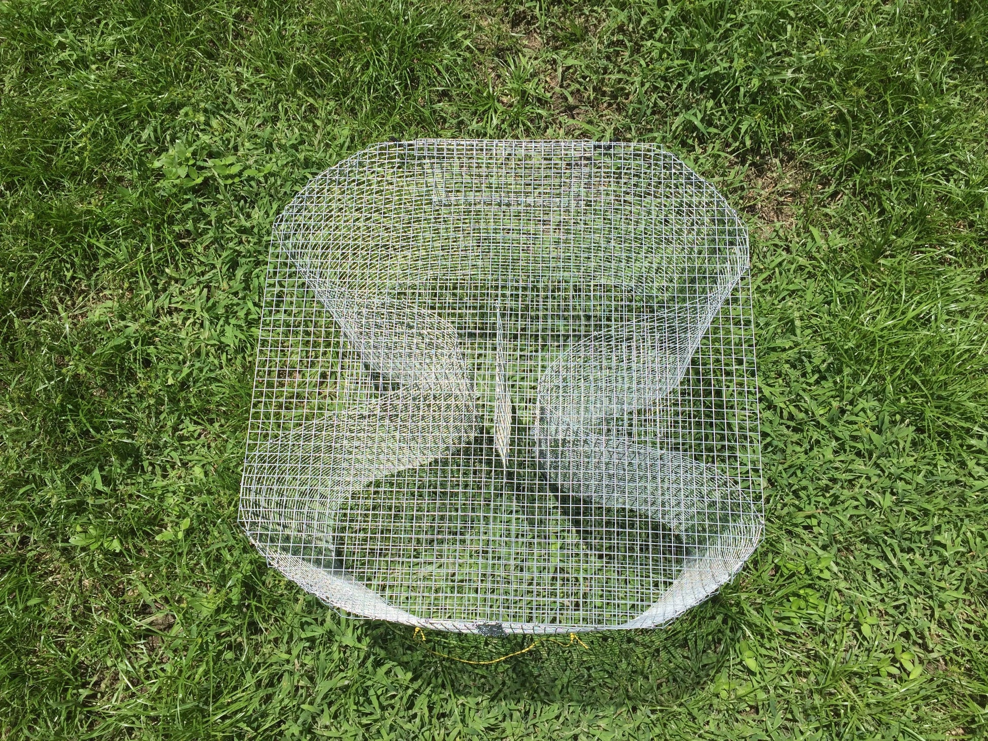 Fish Trap: Large Figure 8 / Guide's Secret Bait Fish Trap (Perch Trap, Bream Trap, Sunfish Trap) - Reel Texas Outdoors