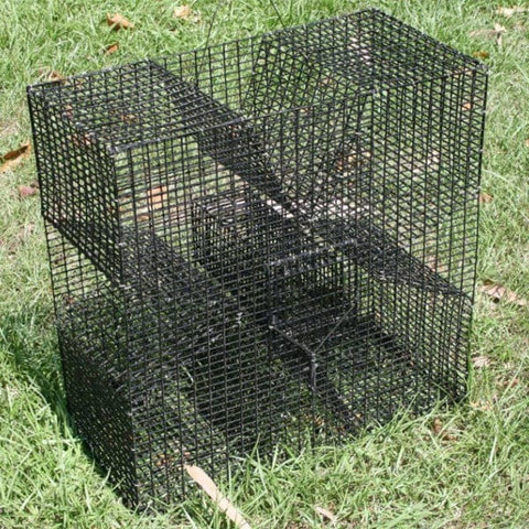 Fish Traps For Trapping Live Bait Fish, Spot/Pinfish Traps, Perch