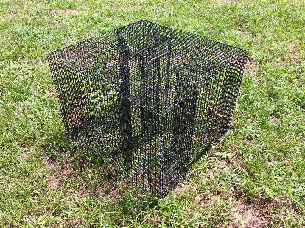 Pinfish Trap - Oversized Clover Bait Fish Trap – Reel Texas Outdoors