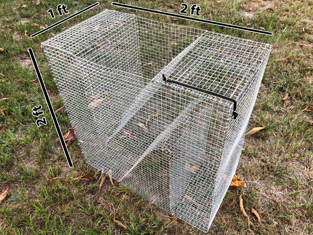 Pinfish Trap - Oversized Clover Bait Fish Trap – Reel Texas Outdoors