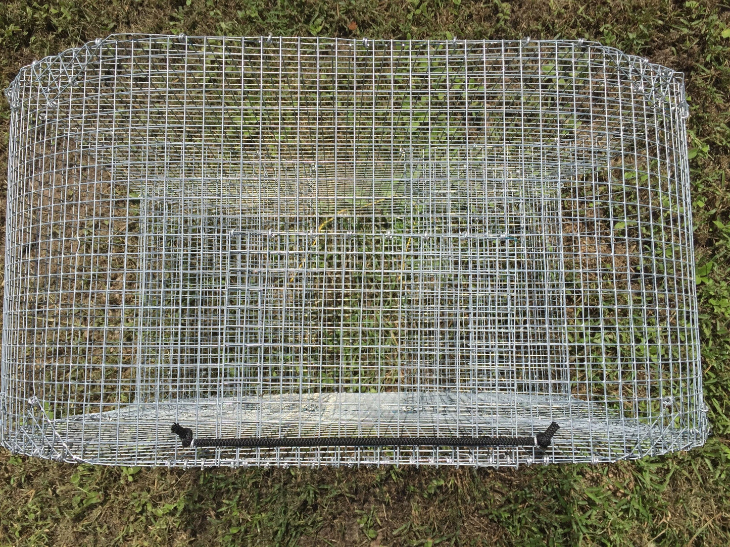 The "Guide's Secret" (aka Figure8) Bait Fish Trap - Perch Trap - Sunfish Trap - Bream Trap - Reel Texas Outdoors