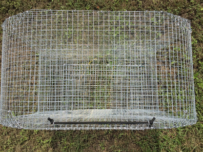 The "Guide's Secret" (aka Figure8) Bait Fish Trap - Perch Trap - Sunfish Trap - Bream Trap - Reel Texas Outdoors